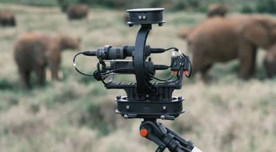 Kenya field research as sustainability laboratory