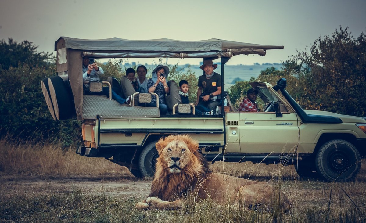 Students analyzing global sustainability challenges